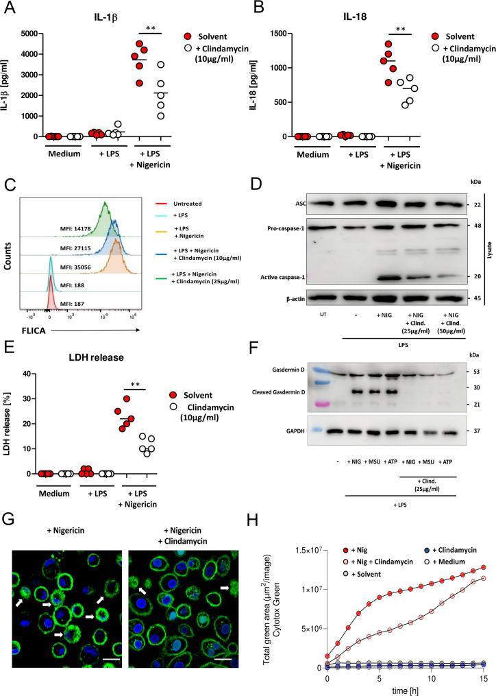 https://cdn.ncbi.nlm.nih.gov/pmc/blobs/bdbd/12320367/0702b3867cea/13046_2025_3478_Fig5_HTML.jpg