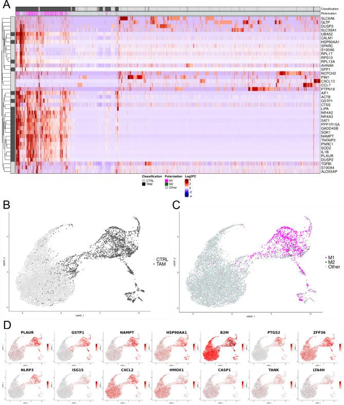 https://cdn.ncbi.nlm.nih.gov/pmc/blobs/bdbd/12320367/3799c2ce6d31/13046_2025_3478_Fig3_HTML.jpg
