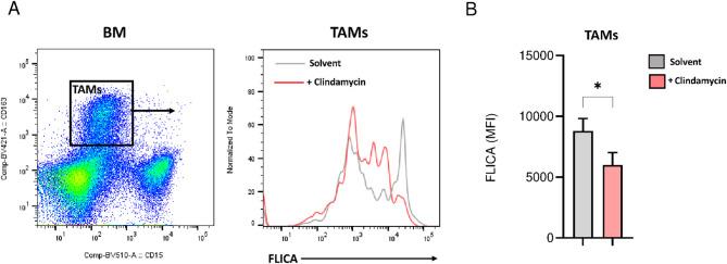 https://cdn.ncbi.nlm.nih.gov/pmc/blobs/bdbd/12320367/42f9d71051c9/13046_2025_3478_Fig6_HTML.jpg
