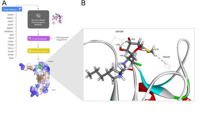 https://cdn.ncbi.nlm.nih.gov/pmc/blobs/bdbd/12320367/d078a368972b/13046_2025_3478_Fig4_HTML.jpg