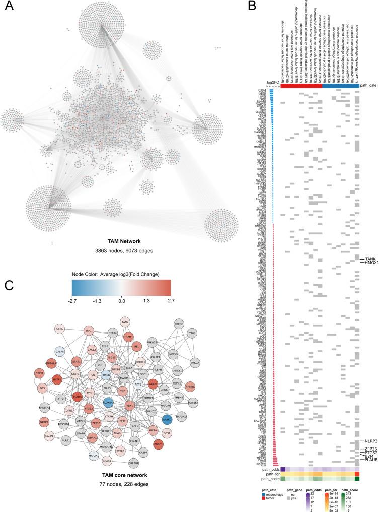 https://cdn.ncbi.nlm.nih.gov/pmc/blobs/bdbd/12320367/d660d9a09547/13046_2025_3478_Fig2_HTML.jpg
