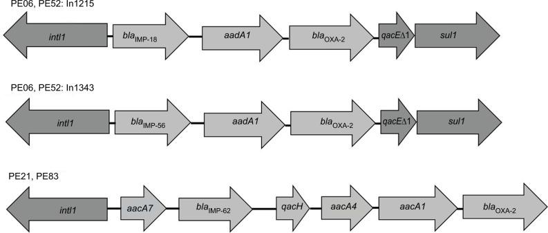 https://cdn.ncbi.nlm.nih.gov/pmc/blobs/bdbd/6160278/6064e38fe54c/idr-11-1523Fig1.jpg