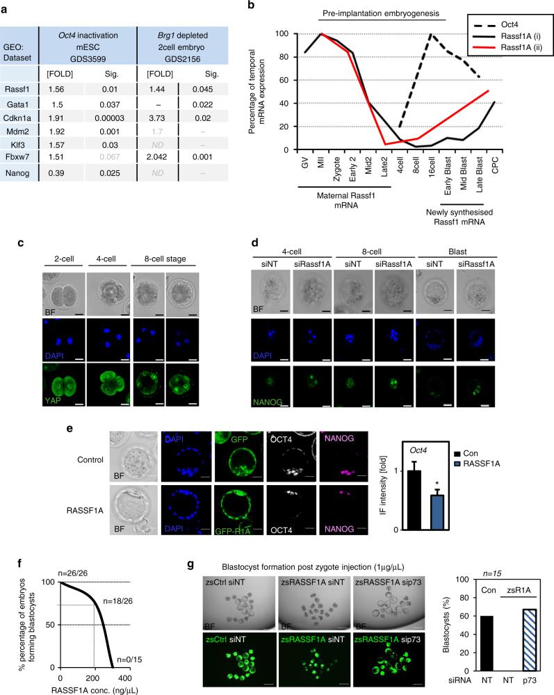 https://cdn.ncbi.nlm.nih.gov/pmc/blobs/bdbf/5789973/9264f2acc386/41467_2017_2786_Fig5_HTML.jpg