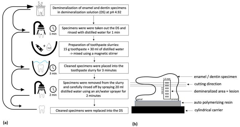 https://cdn.ncbi.nlm.nih.gov/pmc/blobs/bdc1/8540000/559f477babba/materials-14-05974-g002.jpg