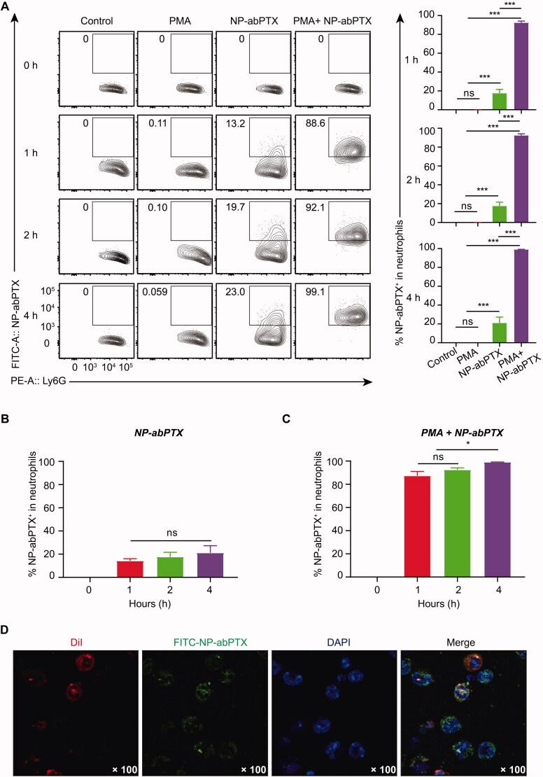 https://cdn.ncbi.nlm.nih.gov/pmc/blobs/bdc1/8903760/0cf12e390050/IDRD_A_2046892_F0003_C.jpg