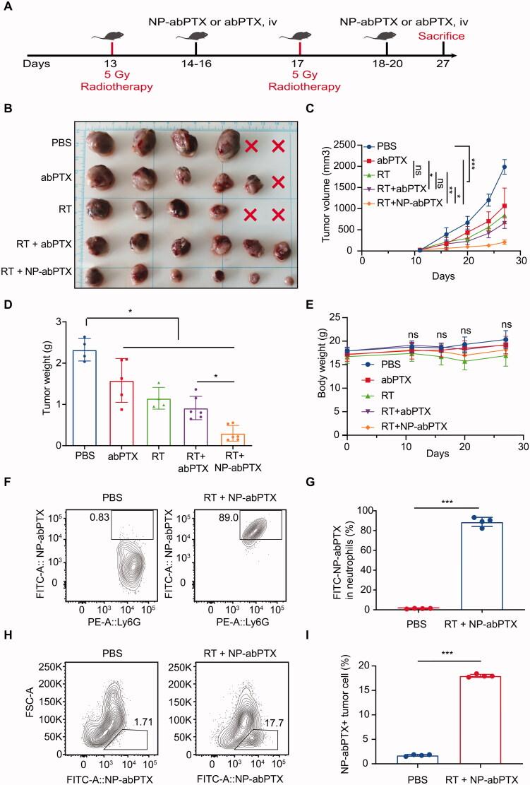https://cdn.ncbi.nlm.nih.gov/pmc/blobs/bdc1/8903760/219b145fb5cb/IDRD_A_2046892_F0006_C.jpg