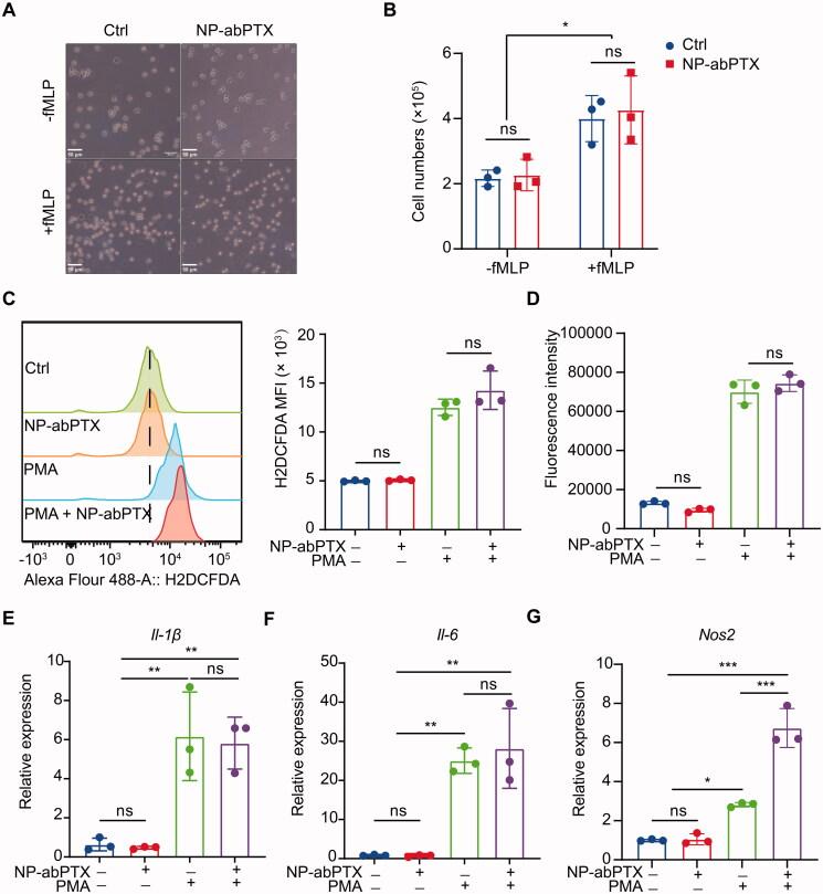 https://cdn.ncbi.nlm.nih.gov/pmc/blobs/bdc1/8903760/ecf6f1c6d961/IDRD_A_2046892_F0005_C.jpg