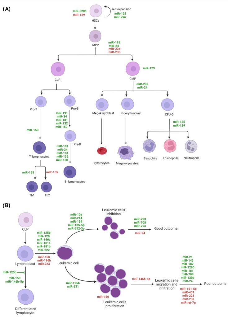 https://cdn.ncbi.nlm.nih.gov/pmc/blobs/bdc4/10049736/638d1235305d/ijms-24-05436-g002.jpg