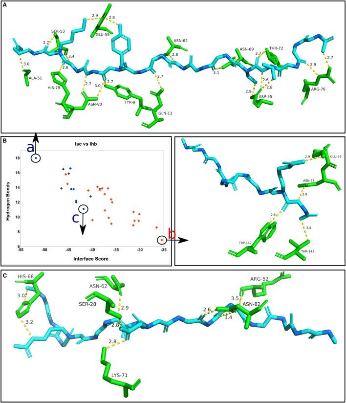 https://cdn.ncbi.nlm.nih.gov/pmc/blobs/bdc5/5002431/12234a75fb78/fimmu-07-00327-g006.jpg