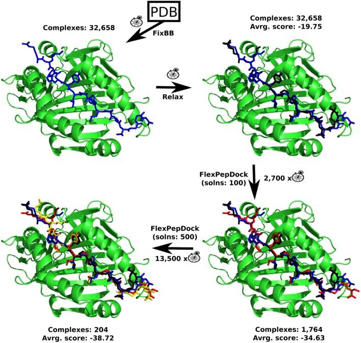 https://cdn.ncbi.nlm.nih.gov/pmc/blobs/bdc5/5002431/181b7027adce/fimmu-07-00327-g002.jpg