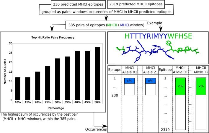 https://cdn.ncbi.nlm.nih.gov/pmc/blobs/bdc5/5002431/a90fa42be20f/fimmu-07-00327-g003.jpg
