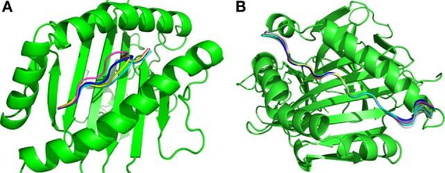 https://cdn.ncbi.nlm.nih.gov/pmc/blobs/bdc5/5002431/d7dfe44bda2a/fimmu-07-00327-g004.jpg