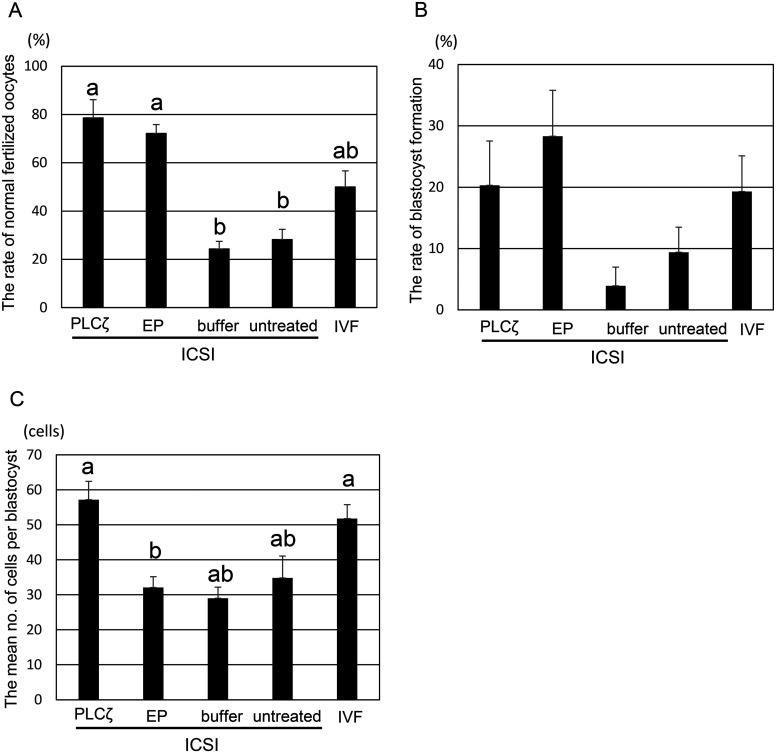 https://cdn.ncbi.nlm.nih.gov/pmc/blobs/bdc6/11310388/7e938f92884b/jrd-70-229-g003.jpg