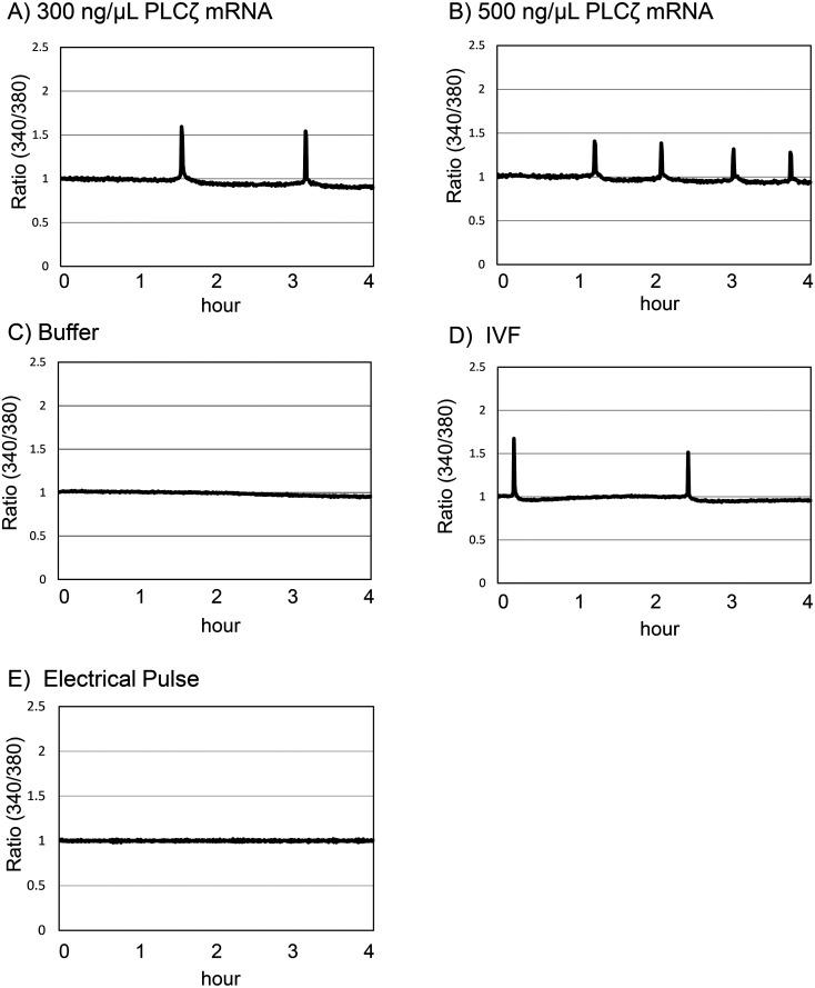 https://cdn.ncbi.nlm.nih.gov/pmc/blobs/bdc6/11310388/8374551f3b98/jrd-70-229-g002.jpg