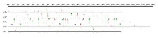 https://cdn.ncbi.nlm.nih.gov/pmc/blobs/bdc6/2592712/eed0775dcbc7/gb-2008-9-9-r134-5.jpg