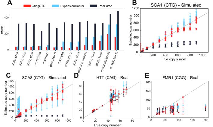 https://cdn.ncbi.nlm.nih.gov/pmc/blobs/bdc7/6735967/20bf1f5c9916/gkz501fig3.jpg