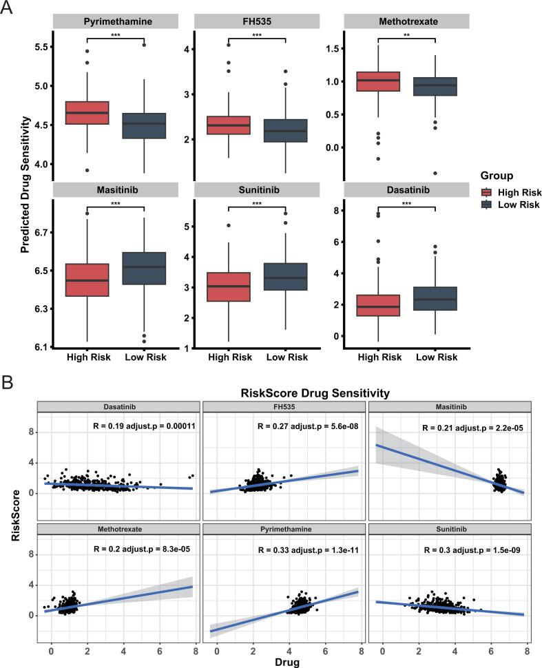 https://cdn.ncbi.nlm.nih.gov/pmc/blobs/bdca/12234533/f4c7c9580499/fonc-15-1564826-g006.jpg