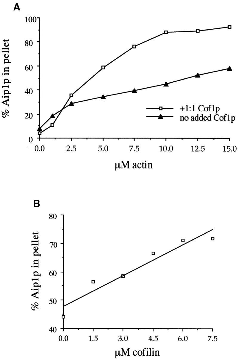 https://cdn.ncbi.nlm.nih.gov/pmc/blobs/bdca/2133144/be2967122caa/JCB9811047.f8.jpg