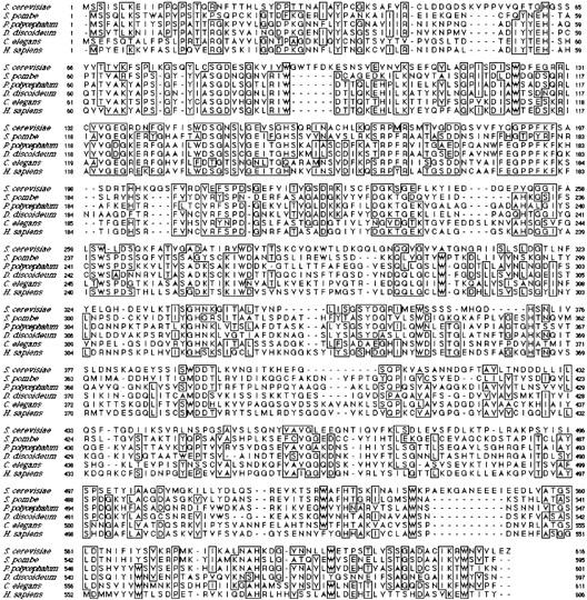 https://cdn.ncbi.nlm.nih.gov/pmc/blobs/bdca/2133144/ff94002f8d51/JCB9811047.f1.jpg