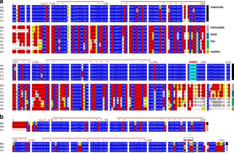 https://cdn.ncbi.nlm.nih.gov/pmc/blobs/bdca/6337844/ab592fee2436/41065_2019_81_Fig6_HTML.jpg