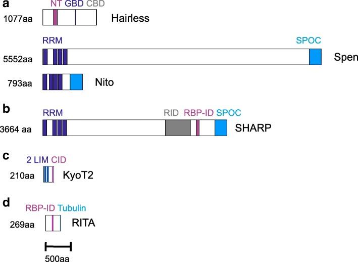 https://cdn.ncbi.nlm.nih.gov/pmc/blobs/bdca/6337844/db15648b8533/41065_2019_81_Fig2_HTML.jpg