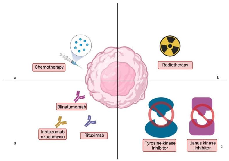 https://cdn.ncbi.nlm.nih.gov/pmc/blobs/bdca/9032060/f52d268d66fc/cancers-14-02021-g001.jpg