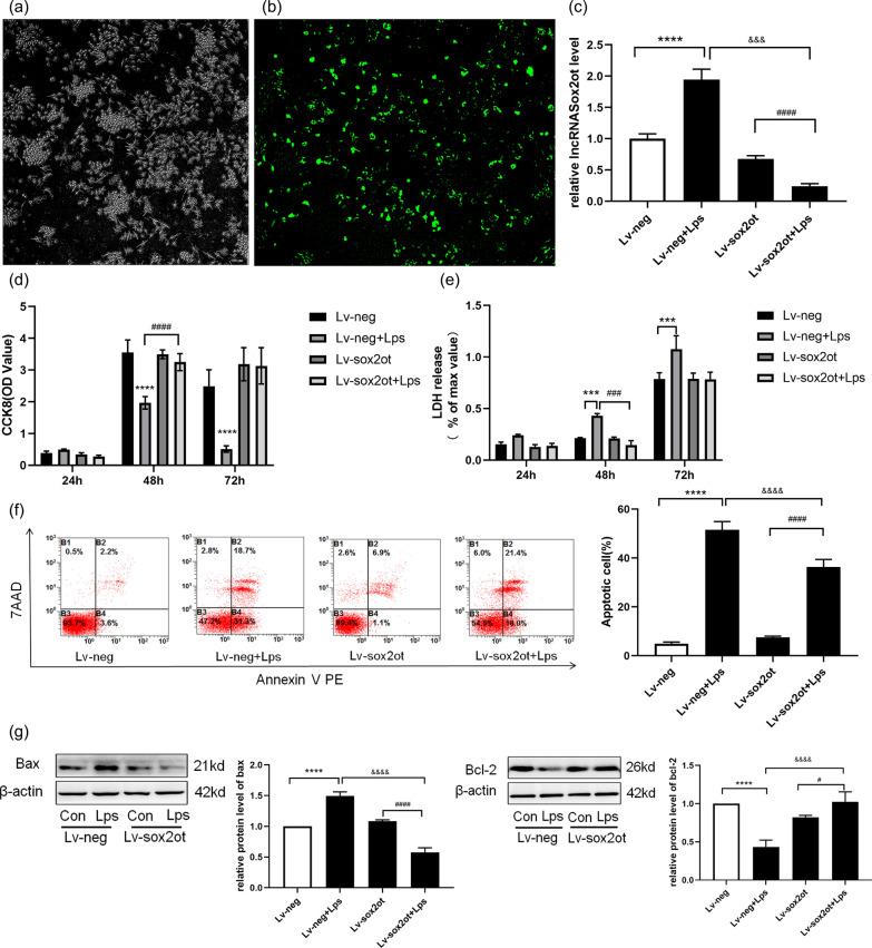 https://cdn.ncbi.nlm.nih.gov/pmc/blobs/bdcc/10131420/2b9435249733/13041_2023_1024_Fig3_HTML.jpg