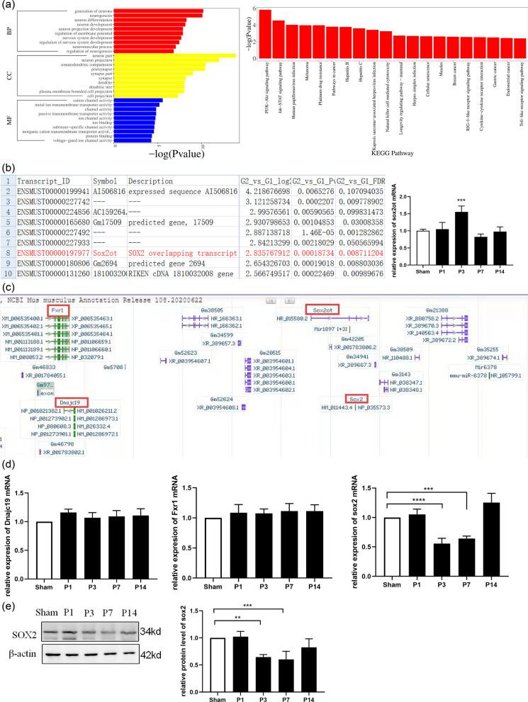 https://cdn.ncbi.nlm.nih.gov/pmc/blobs/bdcc/10131420/d911157dd0c9/13041_2023_1024_Fig2_HTML.jpg