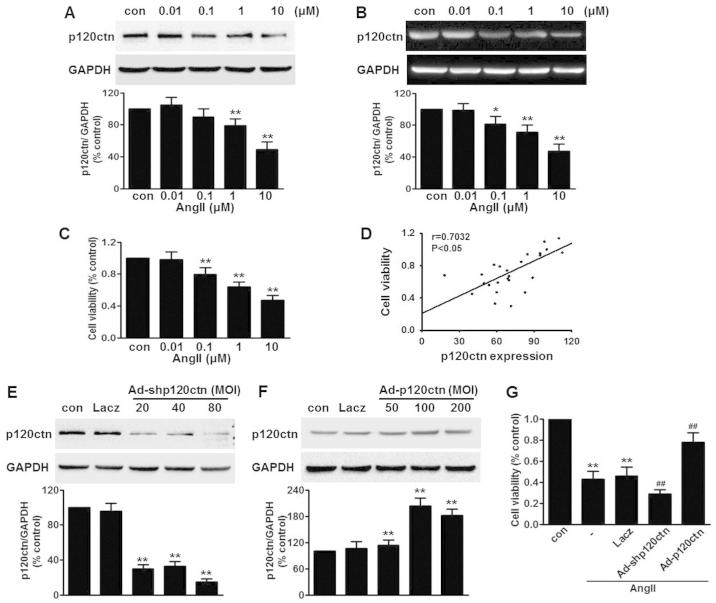 https://cdn.ncbi.nlm.nih.gov/pmc/blobs/bdcc/4771121/06ee44169df9/IJMM-37-03-0623-g00.jpg