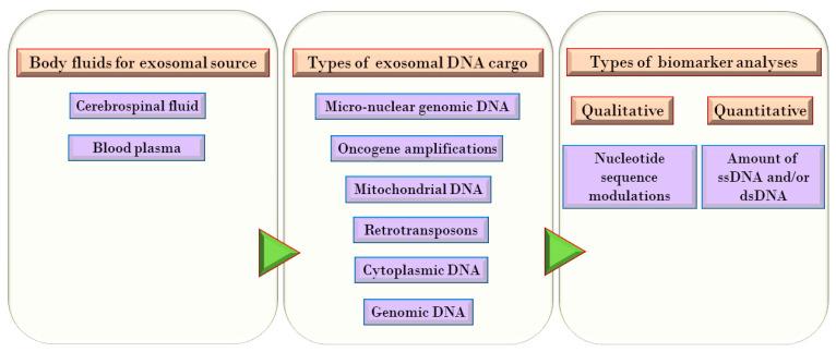 https://cdn.ncbi.nlm.nih.gov/pmc/blobs/bdcc/7692052/ab28aa1ebba3/genes-11-01276-g001.jpg