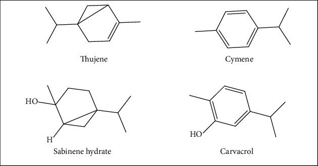 https://cdn.ncbi.nlm.nih.gov/pmc/blobs/bdcc/9363207/810c4f622fab/BMRI2022-5218950.001.jpg