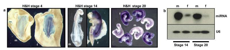 https://cdn.ncbi.nlm.nih.gov/pmc/blobs/bdd0/3925877/bbe8e156db32/emss-28467-f0003.jpg