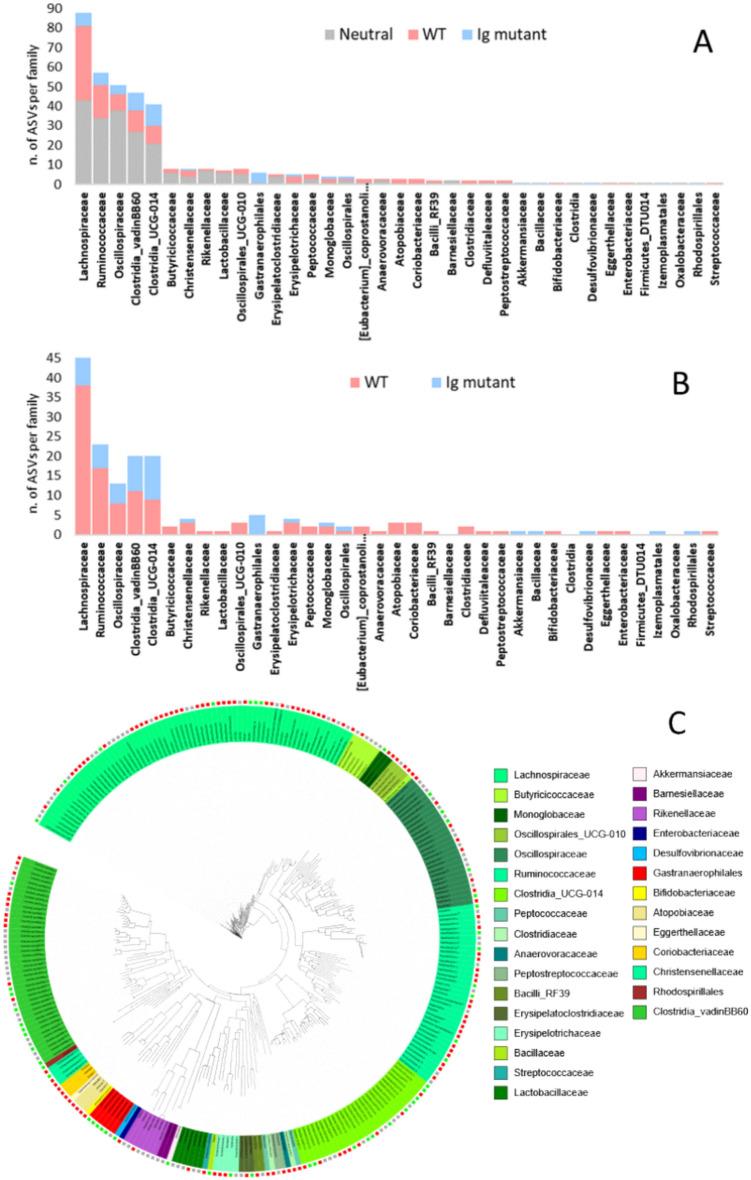 https://cdn.ncbi.nlm.nih.gov/pmc/blobs/bdd2/11512033/3408d062d5b4/41598_2024_76856_Fig5_HTML.jpg