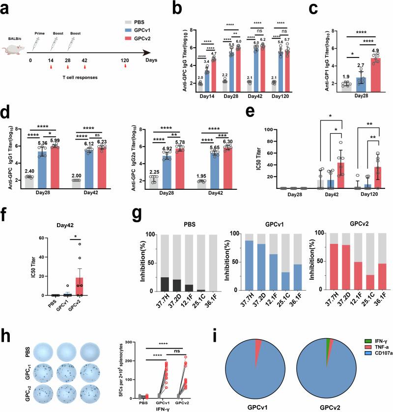 https://cdn.ncbi.nlm.nih.gov/pmc/blobs/bdd3/11847010/8ad41a0c0c48/41541_2025_1090_Fig3_HTML.jpg