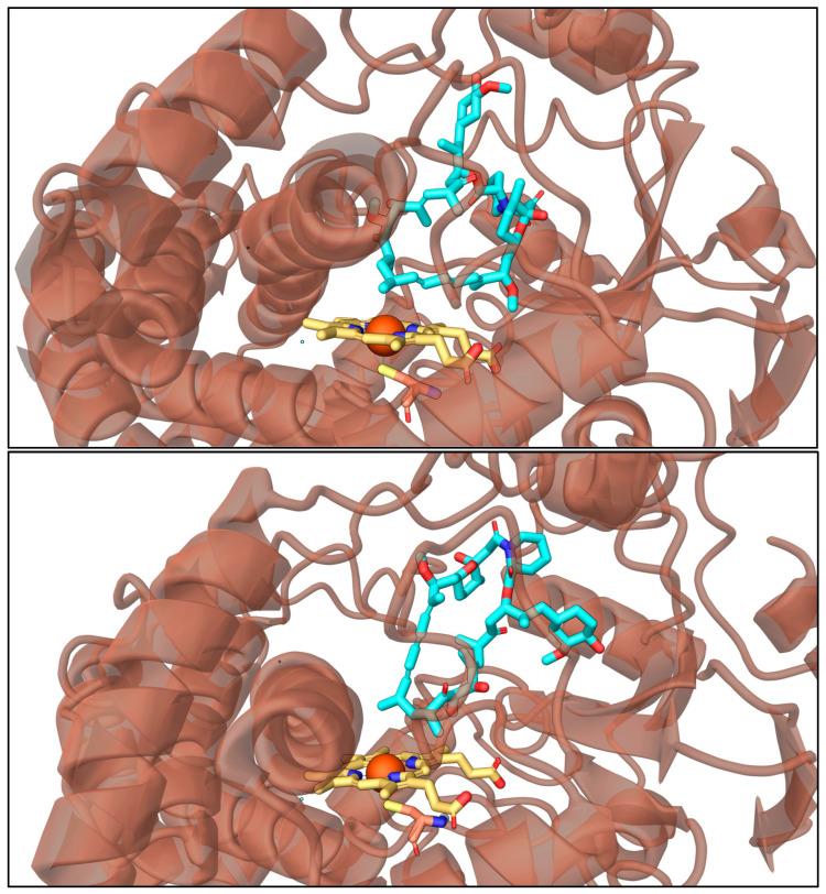 https://cdn.ncbi.nlm.nih.gov/pmc/blobs/bdd4/12299981/b3e072c40477/metabolites-15-00489-g009.jpg