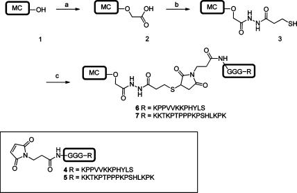 https://cdn.ncbi.nlm.nih.gov/pmc/blobs/bdd4/3260740/31e0f880a68c/ja-2011-10638x_0004.jpg