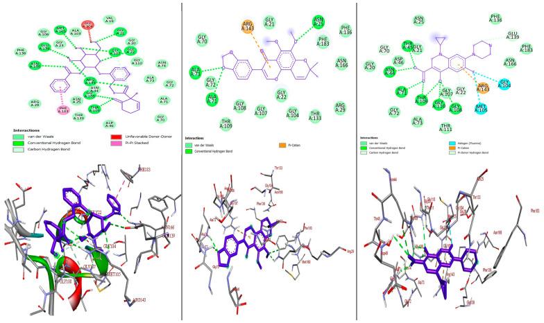 https://cdn.ncbi.nlm.nih.gov/pmc/blobs/bdd7/11644002/107964a7583e/molecules-29-05608-g005.jpg