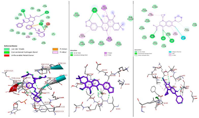 https://cdn.ncbi.nlm.nih.gov/pmc/blobs/bdd7/11644002/ef699306ed8e/molecules-29-05608-g006.jpg