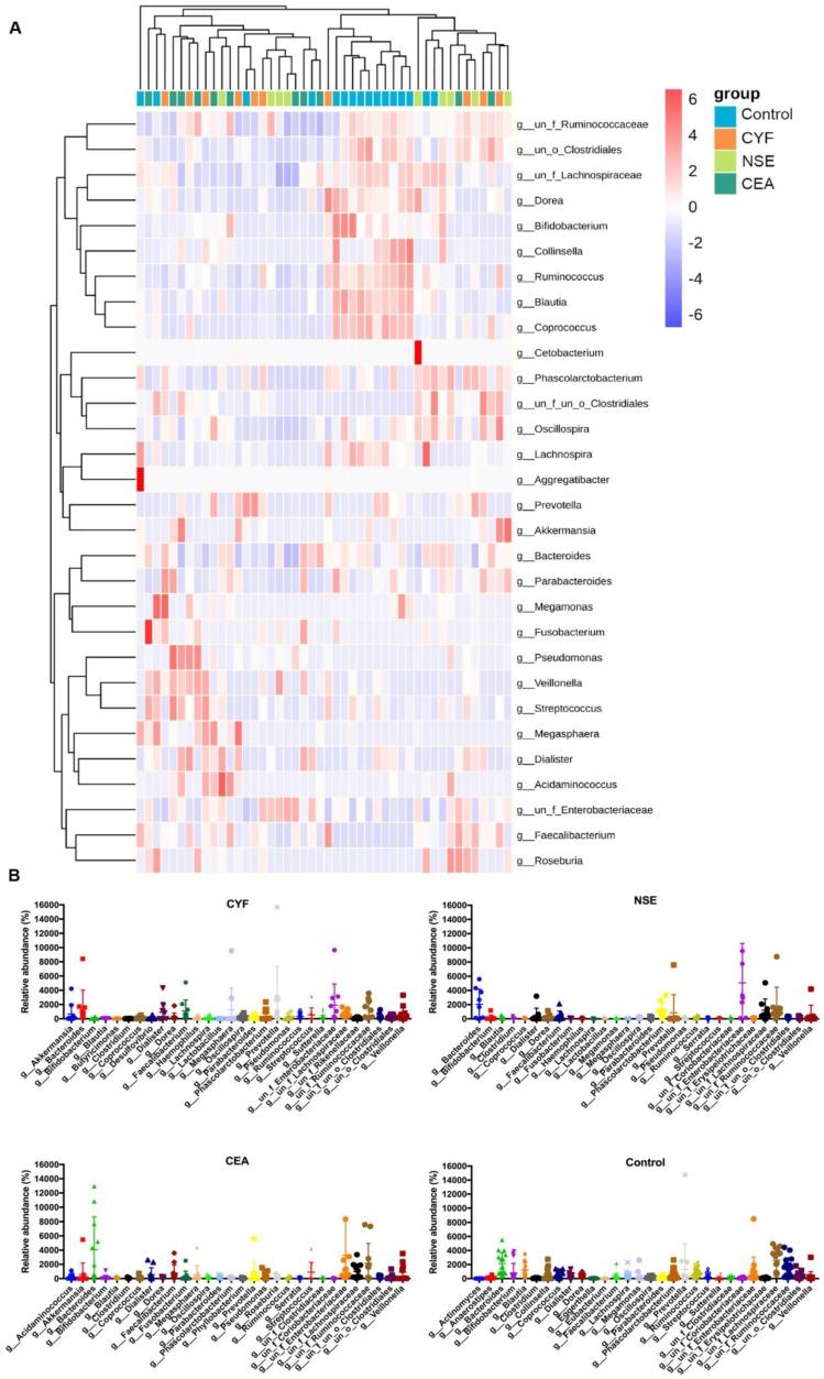 https://cdn.ncbi.nlm.nih.gov/pmc/blobs/bdd7/6775324/3c99a7fe17b0/ijbsv15p2381g004.jpg