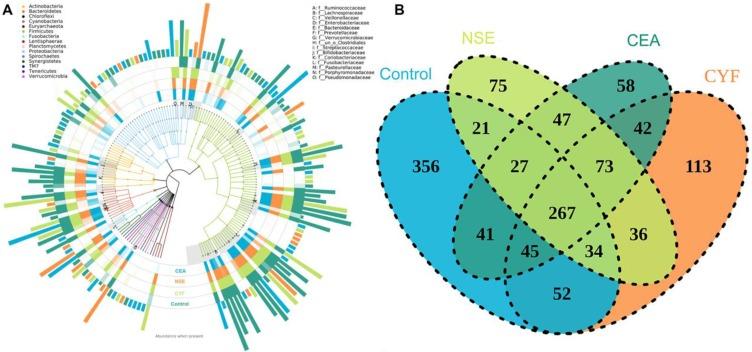 https://cdn.ncbi.nlm.nih.gov/pmc/blobs/bdd7/6775324/88fe90712c42/ijbsv15p2381g001.jpg