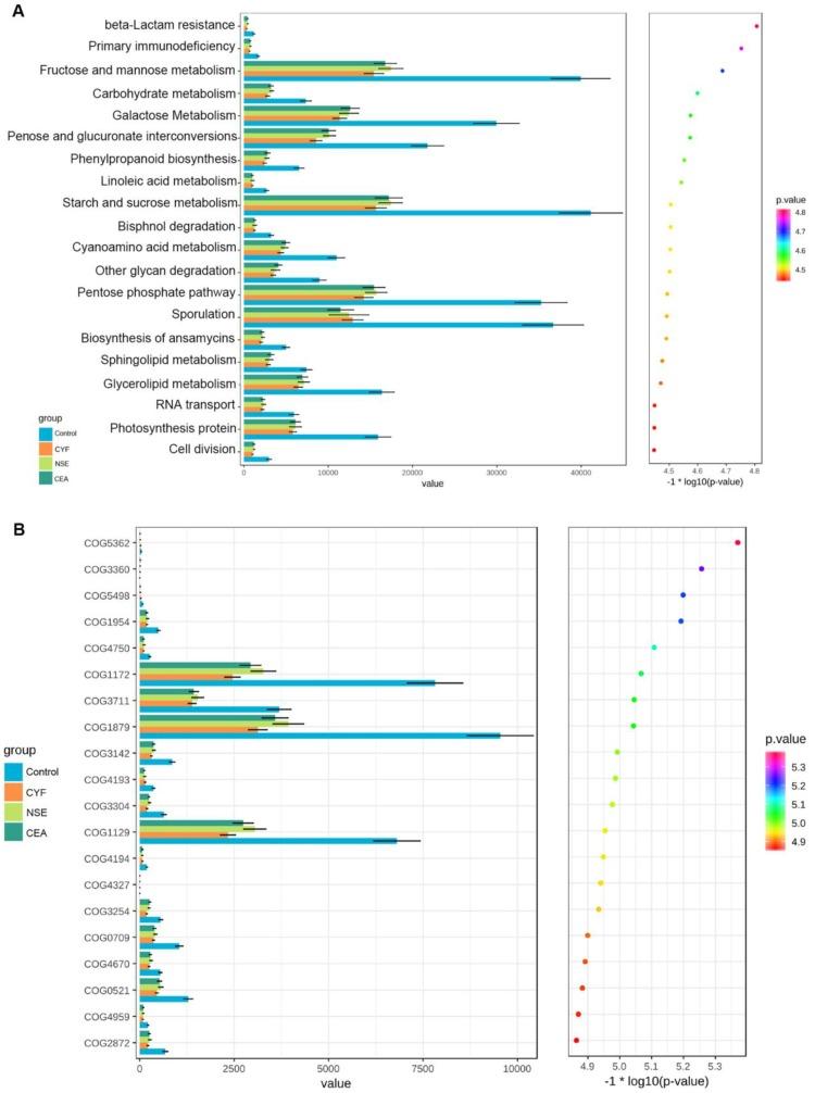 https://cdn.ncbi.nlm.nih.gov/pmc/blobs/bdd7/6775324/a5ba9a8ad349/ijbsv15p2381g007.jpg