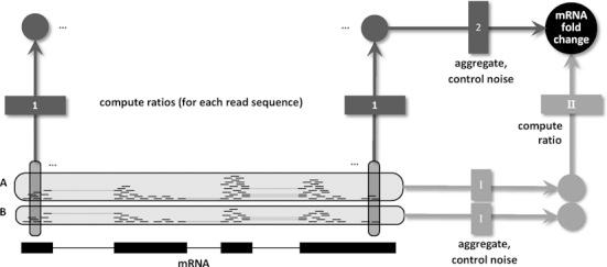 https://cdn.ncbi.nlm.nih.gov/pmc/blobs/bdd8/4787746/4d12df727f61/gkv696fig1.jpg