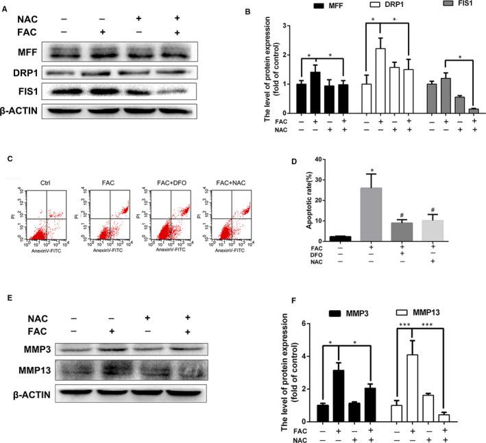 https://cdn.ncbi.nlm.nih.gov/pmc/blobs/bdd8/8184674/20c9571389b6/JCMM-25-5671-g004.jpg