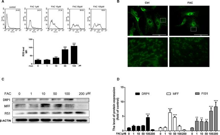 https://cdn.ncbi.nlm.nih.gov/pmc/blobs/bdd8/8184674/996ced11ffca/JCMM-25-5671-g001.jpg
