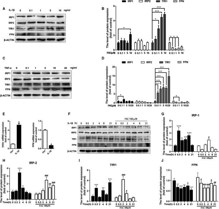 https://cdn.ncbi.nlm.nih.gov/pmc/blobs/bdd8/8184674/9a40404bbf73/JCMM-25-5671-g002.jpg