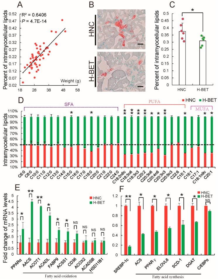 https://cdn.ncbi.nlm.nih.gov/pmc/blobs/bdd9/5852707/ae3fe93b63dc/nutrients-10-00131-g005.jpg