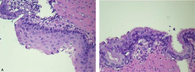 https://cdn.ncbi.nlm.nih.gov/pmc/blobs/bdda/6641662/936511178254/medi-98-e16364-g003.jpg
