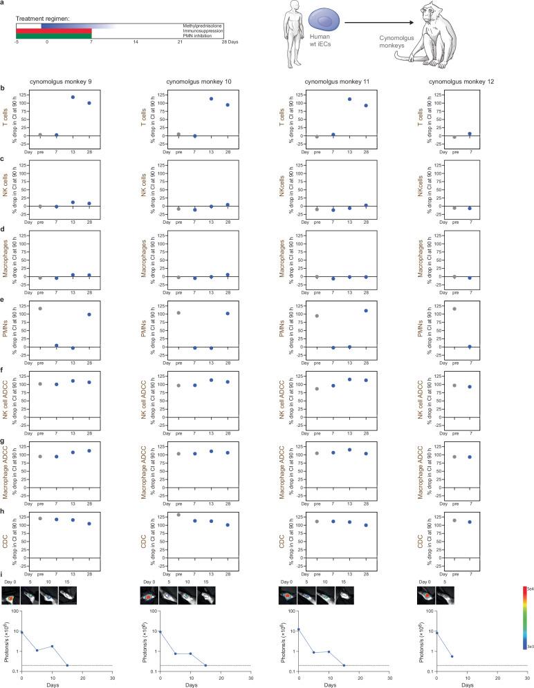 https://cdn.ncbi.nlm.nih.gov/pmc/blobs/bddb/12008267/b32d0a108f1a/41467_2025_58774_Fig6_HTML.jpg