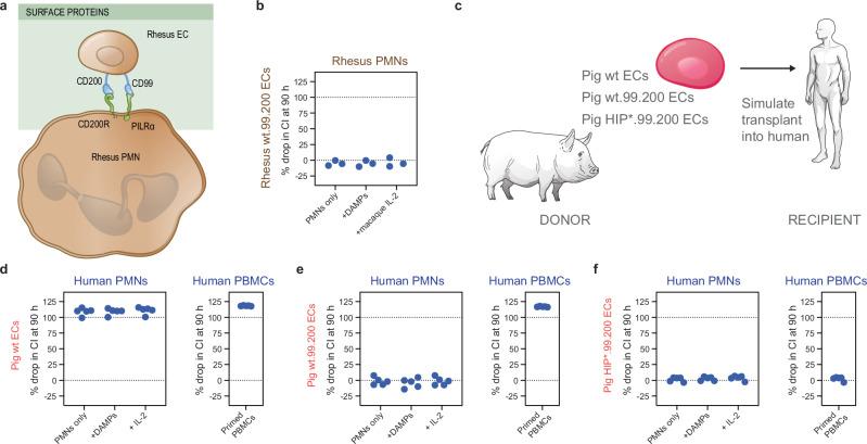 https://cdn.ncbi.nlm.nih.gov/pmc/blobs/bddb/12008267/b44eaecff7bb/41467_2025_58774_Fig8_HTML.jpg