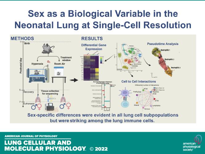 https://cdn.ncbi.nlm.nih.gov/pmc/blobs/bddb/9799156/12606ad7a72d/l-00269-2022r01.jpg